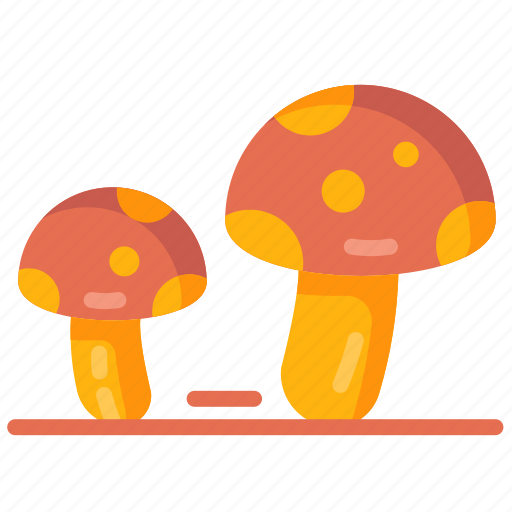 Fungi, fungus, mushroom, oyster mushroom icon - Download on Iconfinder