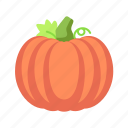 pumpkin, fruit, food, farming