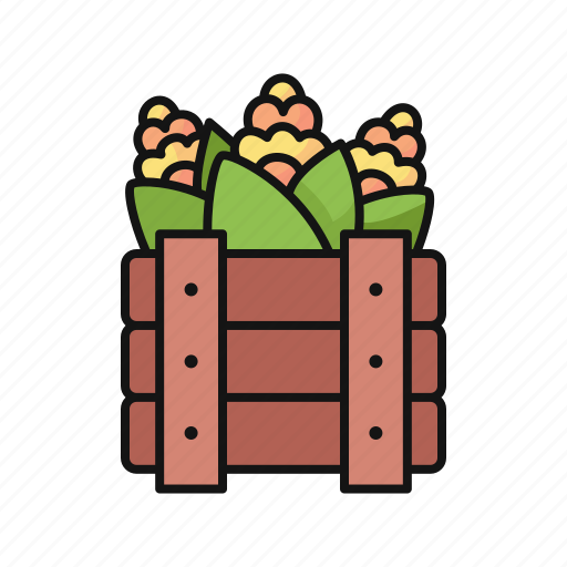 Corn, vegetable, harvest, box icon - Download on Iconfinder