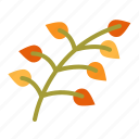 branch, leaves, plant, nature, autumn, fall