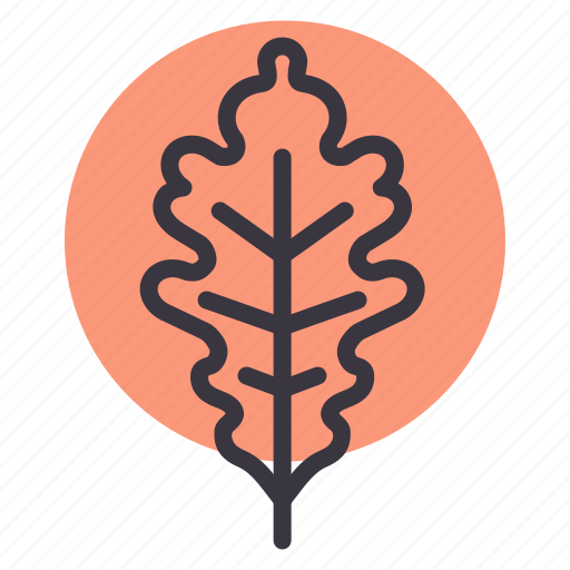 Autumn, fall, garden, leaf, nature, oak, season icon - Download on Iconfinder