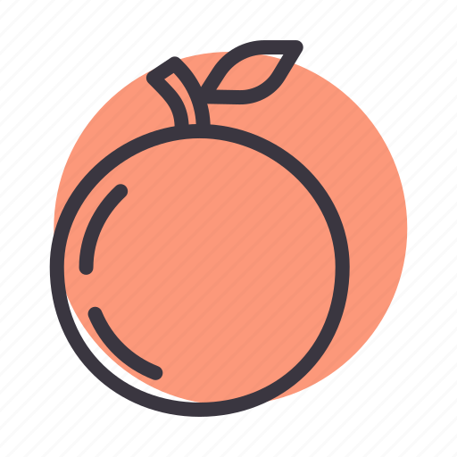 Autumn, food, fruit, healthy, orange, peach, spring icon - Download on Iconfinder