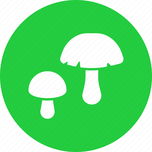 Fungus, grow, healthy, mushroom, plant, shroom, vegetable icon - Download on Iconfinder
