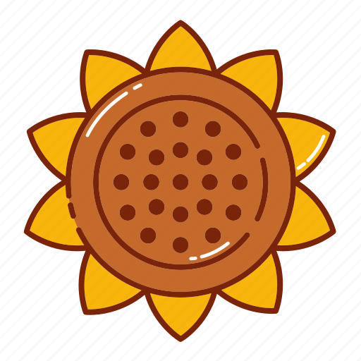 Autumn, fall, flower, nature, plant, sun icon - Download on Iconfinder