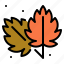 autumn, leaf, nature, plant, weather 