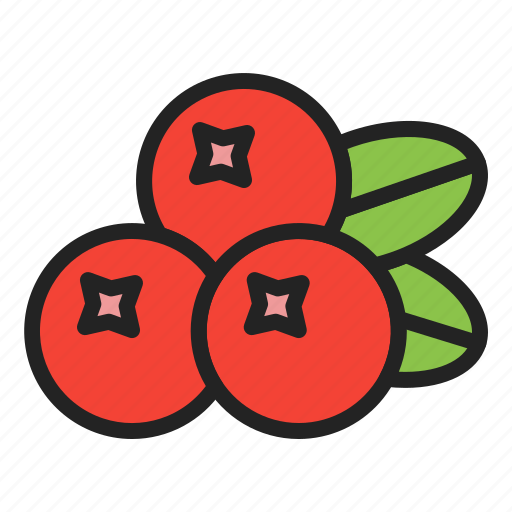 Autumn, berry, cranberry, fruits, harvest icon - Download on Iconfinder