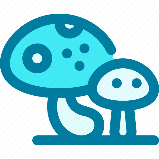 Autumn, forest, mushroom, mushrooms, plant, season, spring icon - Download on Iconfinder