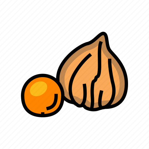 Physalis, autumn, fall, leaf, nature, season icon - Download on Iconfinder