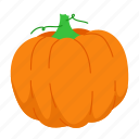 pumpkin, autumn, fruit, spooky, ghost, scary, vegetable, food