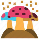 autumn, mushroom, food, vegetable, nature, forest