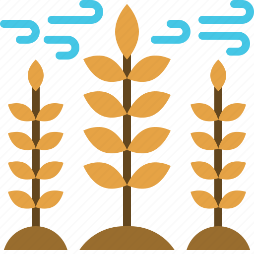 Autumn, wheat, grain, food, harvest, plant icon - Download on Iconfinder