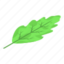 oak, leaf, isometric