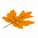 maple, leaf, isometric