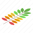 autumn, leaf, isometric