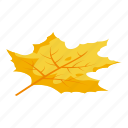 forest, autumn, leaf, isometric