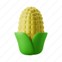 corn, maize, farm, agriculture, harvest 