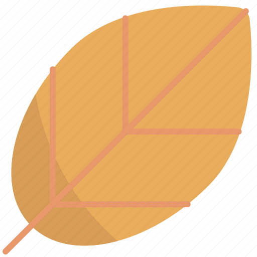 Leaf, nature, plant, autumn, fall, season icon - Download on Iconfinder