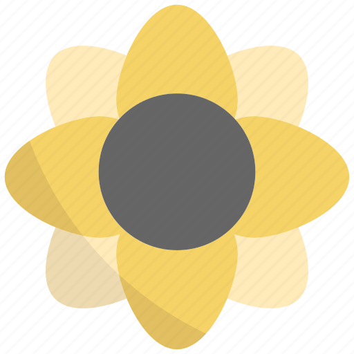 Sunflower, flower, nature, plant, blossom, spring, autumn icon - Download on Iconfinder