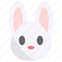 rabbit, bunny, animal, easter, cute, pet, nature
