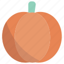 pumpkin, halloween, vegetable, food, healthy, nature, autumn