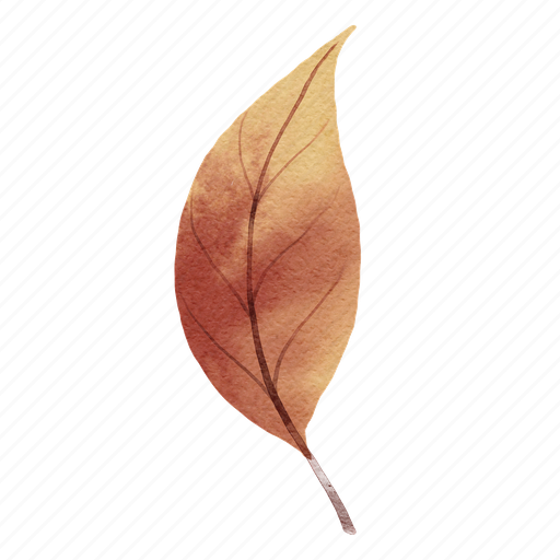 Leave, leaf, autumn, flower, watercolor, botany, foliage icon - Download on Iconfinder