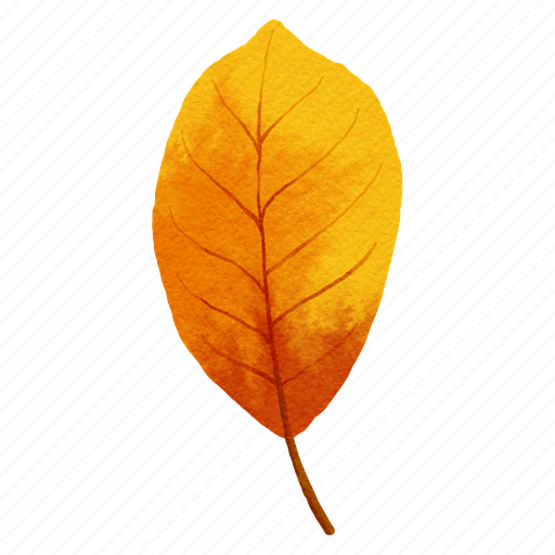 Leave, leaf, autumn, flower, watercolor, botany, foliage icon - Download on Iconfinder