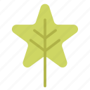 alternate, forest, leaf, park, shape, star, tree
