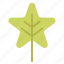 alternate, forest, leaf, park, shape, star, tree 