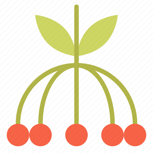 Berries, blackberry, brambleberry, food, fresh, fruit icon - Download on Iconfinder
