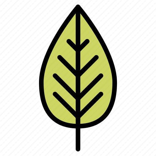 Leaf, lettuce, vegan, veganism, vegetable, vegetarian icon - Download on Iconfinder