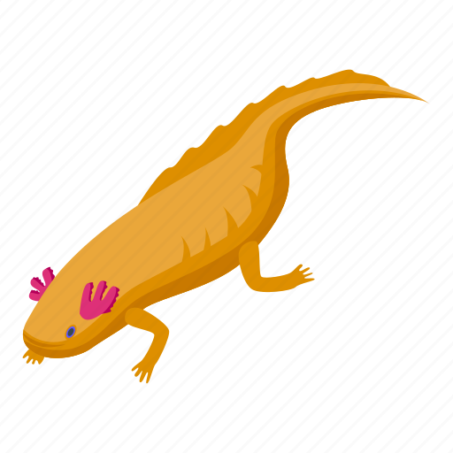 Axolotl, fish, isometric icon - Download on Iconfinder