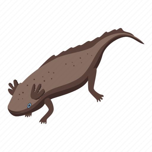 Endangered, axolotl, isometric icon - Download on Iconfinder