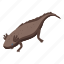 endangered, axolotl, isometric 