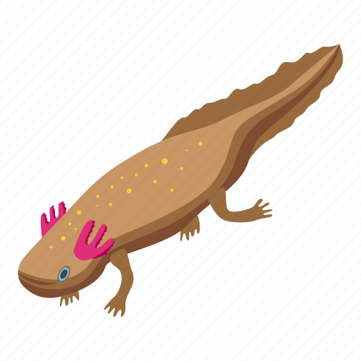 Axolotl, isometric icon - Download on Iconfinder