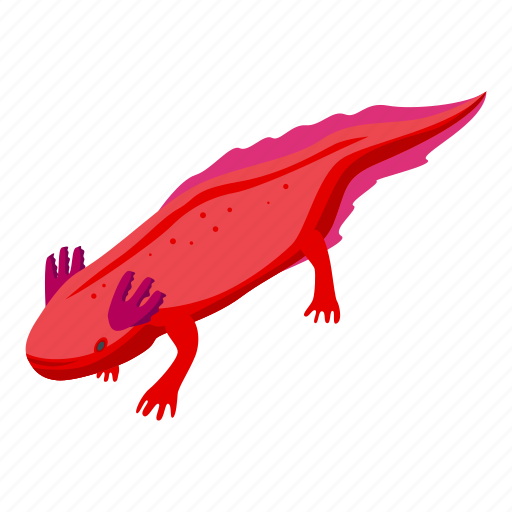 Axolotl, animal, isometric icon - Download on Iconfinder