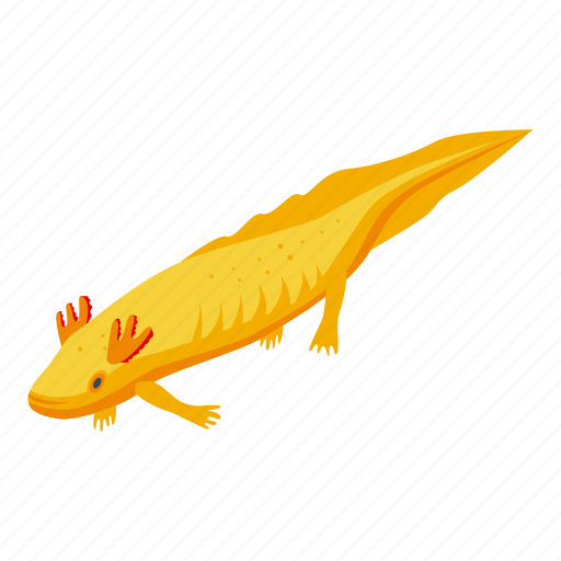 Axolotl, pet, isometric icon - Download on Iconfinder