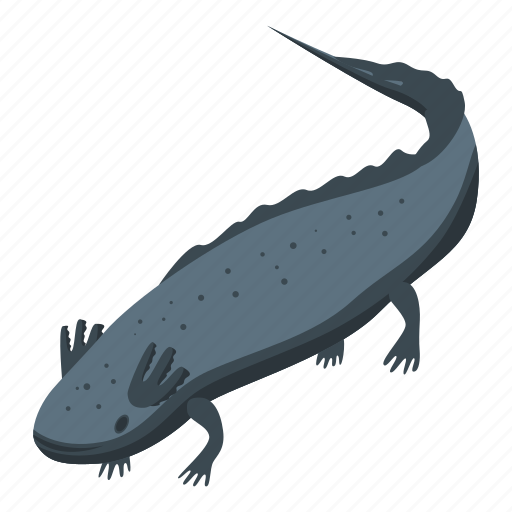 Mexican, salamander, isometric icon - Download on Iconfinder