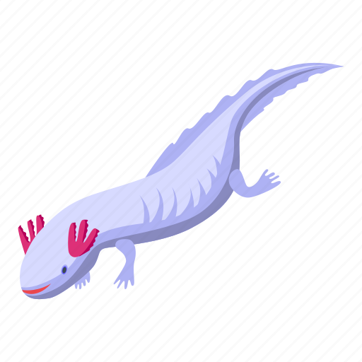 Axolotl, amphibia, isometric icon - Download on Iconfinder