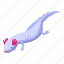 axolotl, amphibia, isometric 