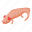 axolotl, lizard, isometric 