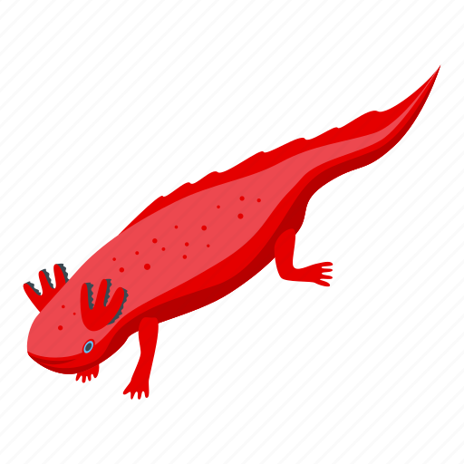 Axolotl, species, isometric icon - Download on Iconfinder