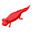 axolotl, species, isometric 