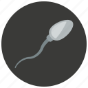 biology, conception, medical, pregnancy, reproduction, science, sperm