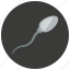biology, conception, medical, pregnancy, reproduction, science, sperm 