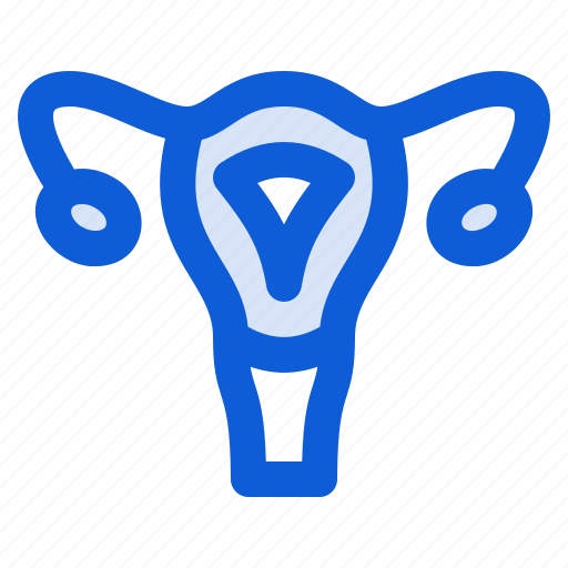 Female, reproductive, uterus, anatomy, pregnancy icon - Download on Iconfinder