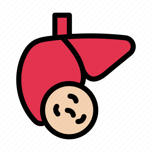 Infection, germs, organism, liver, probiotic icon - Download on Iconfinder