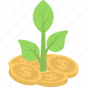 dollar, growth, income, money plant, plant