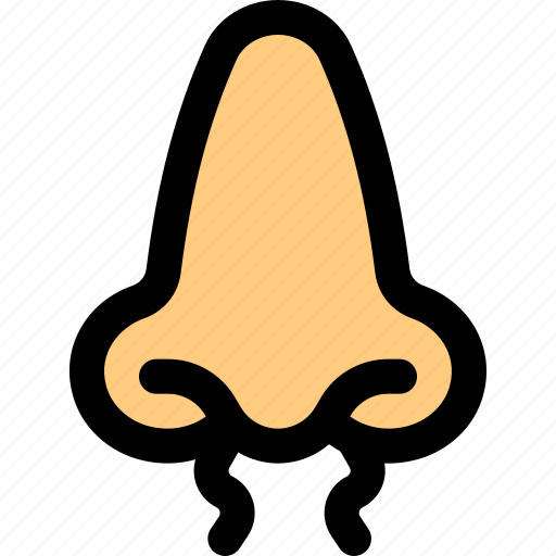 Nose, hair, cilia, barber icon - Download on Iconfinder