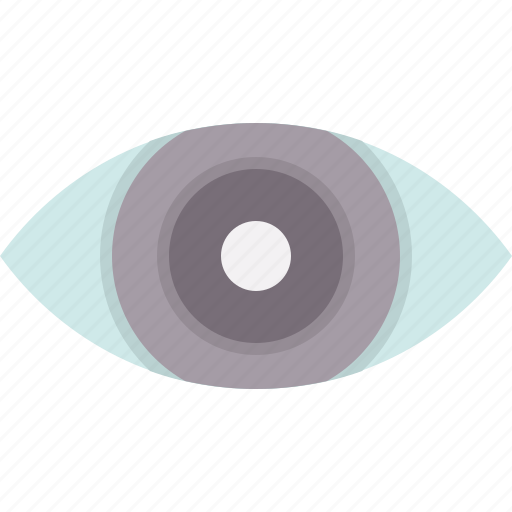 Eye, preview, view, zoom, vision, look icon - Download on Iconfinder