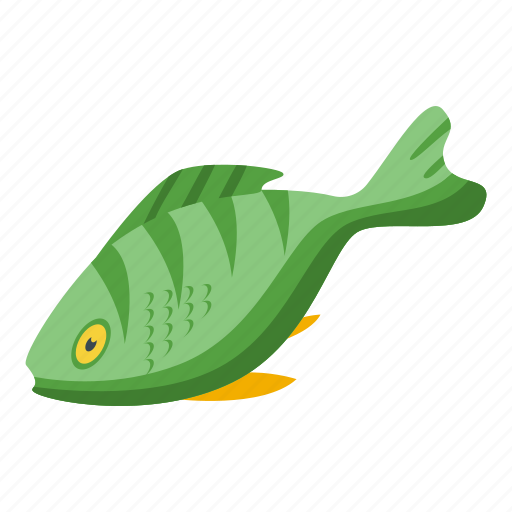 Green, exotic, fish, isometric icon - Download on Iconfinder